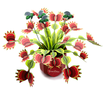 Venus Fly Trap Papercraft Plant Kit