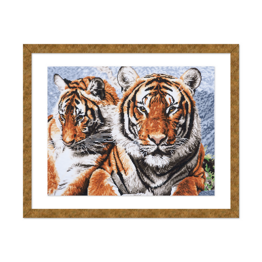 Framed artwork of two tigers on a white background