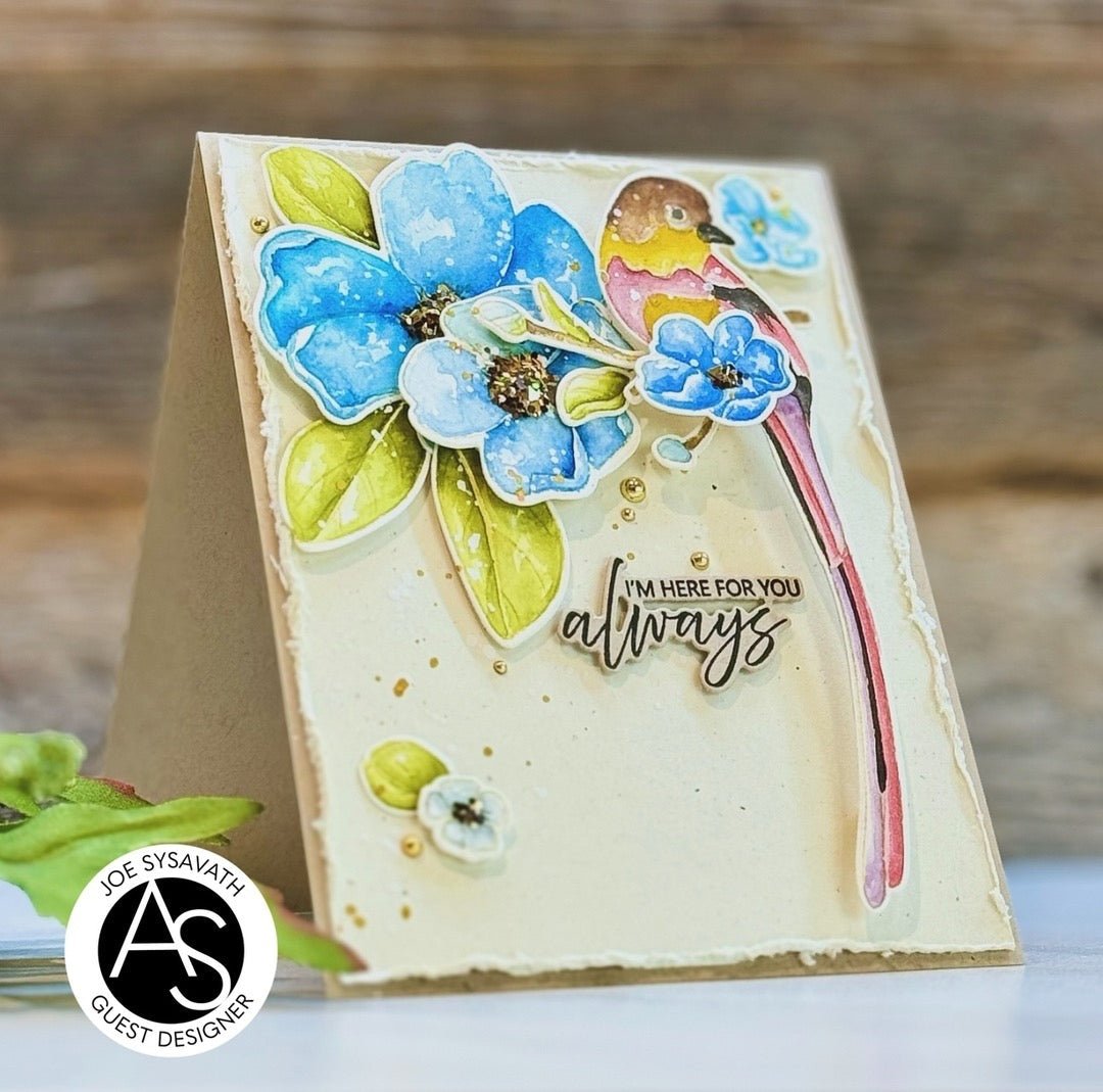 Alex Syberia Designs Avian Allure Die Set - CraftSource Market: Craft Supplies & Kits Papercraft > Dies > Metal Cutting Dies