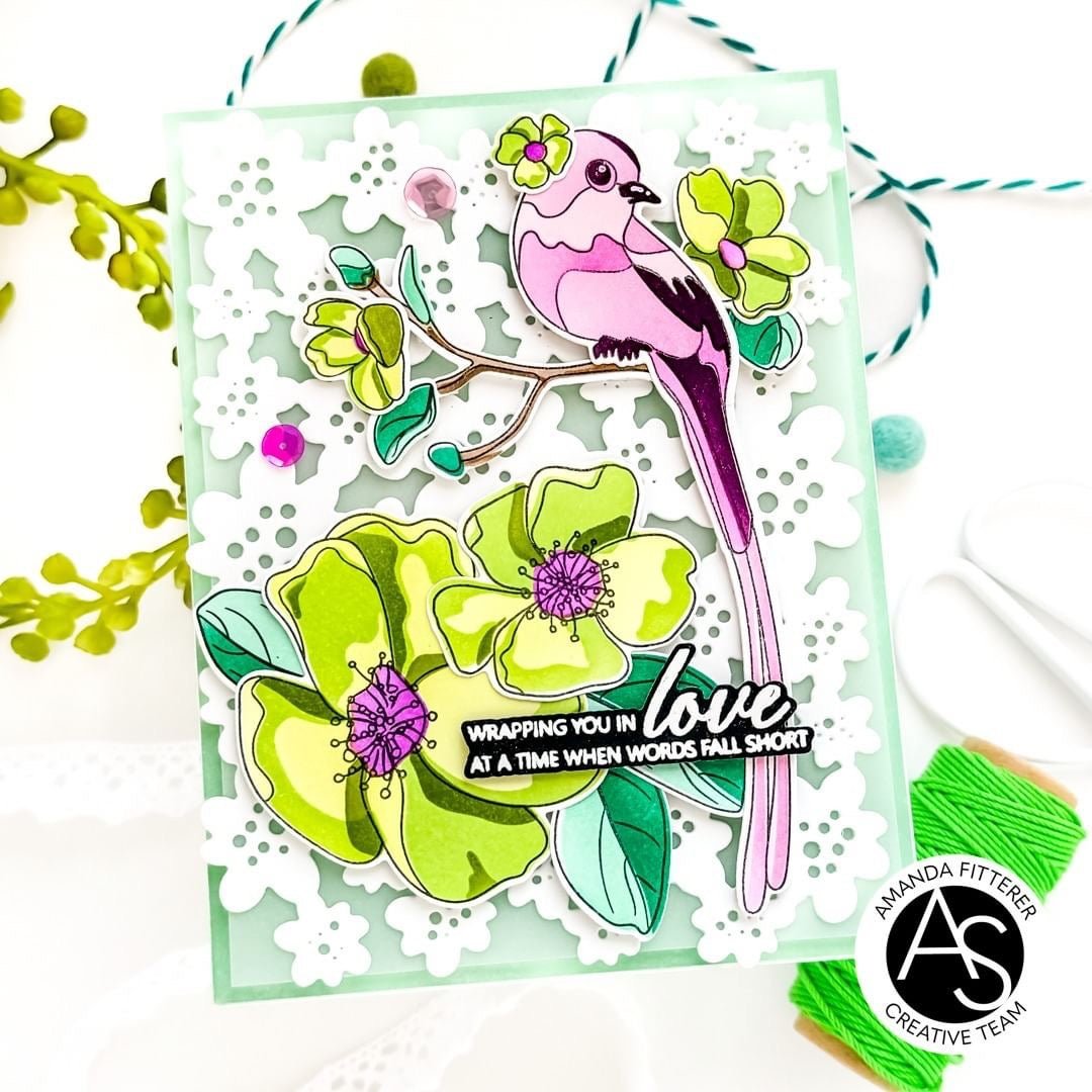 Alex Syberia Designs Avian Allure Stamp Set - CraftSource Market: Craft Supplies & Kits Papercraft > Stamps > Photopolymer Stamps