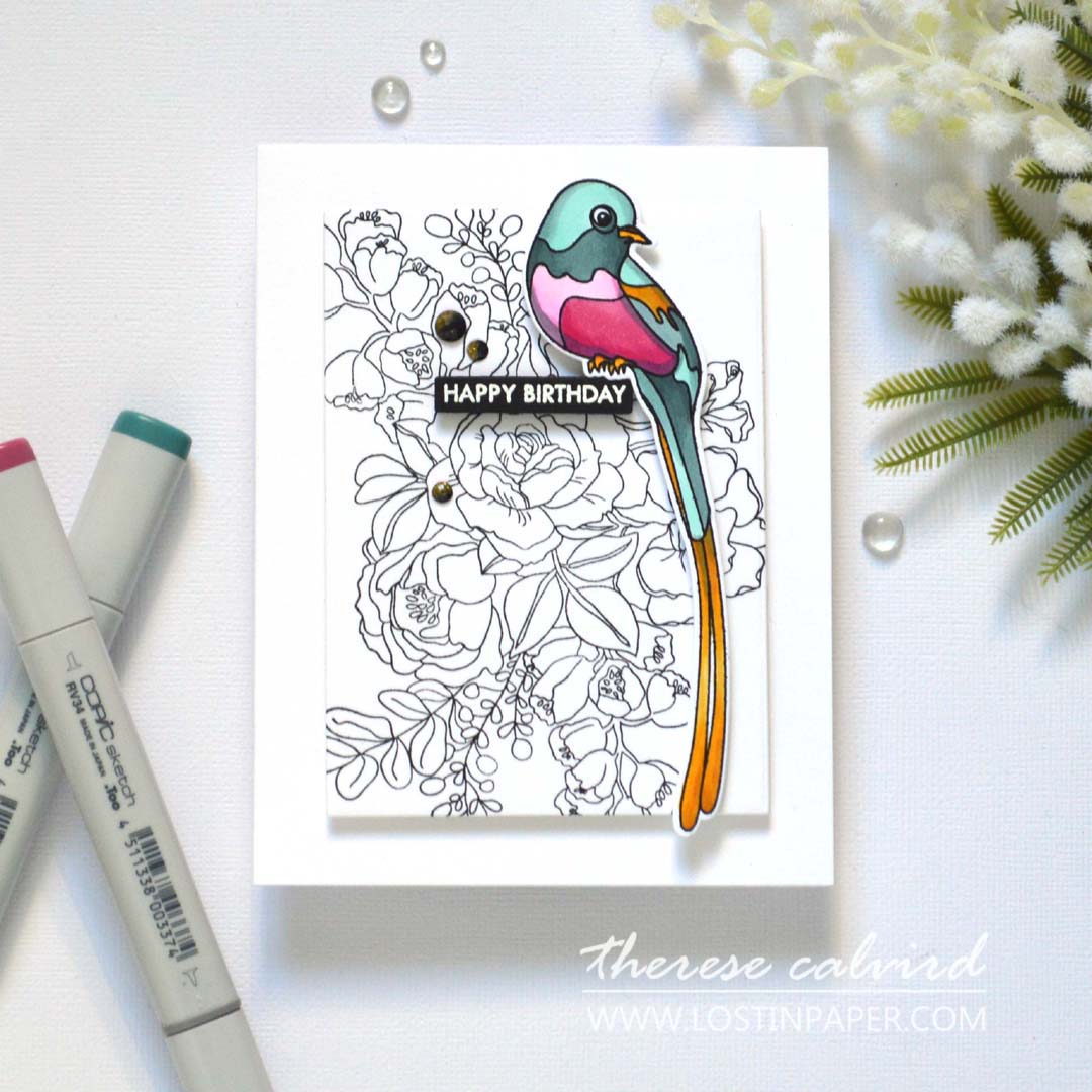 Alex Syberia Designs Avian Allure Stamp Set - CraftSource Market: Craft Supplies & Kits Papercraft > Stamps > Photopolymer Stamps