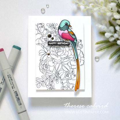 Alex Syberia Designs Avian Allure Stencil Set - CraftSource Market: Craft Supplies & Kits Papercraft > Stencils