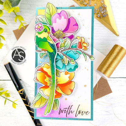 Alex Syberia Designs Avian Allure Stencil Set - CraftSource Market: Craft Supplies & Kits Papercraft > Stencils
