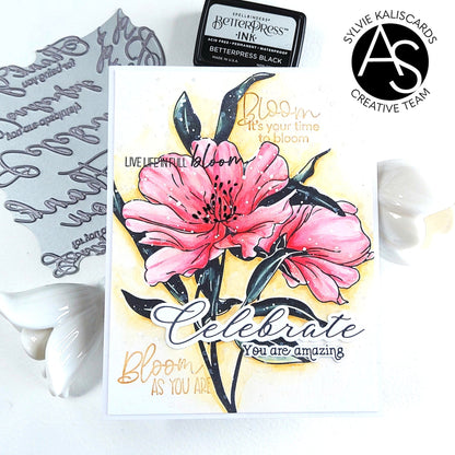 Alex Syberia Designs Classic Sentiments Press Plate & Die Set - CraftSource Market: Craft Supplies & Kits Betterpress