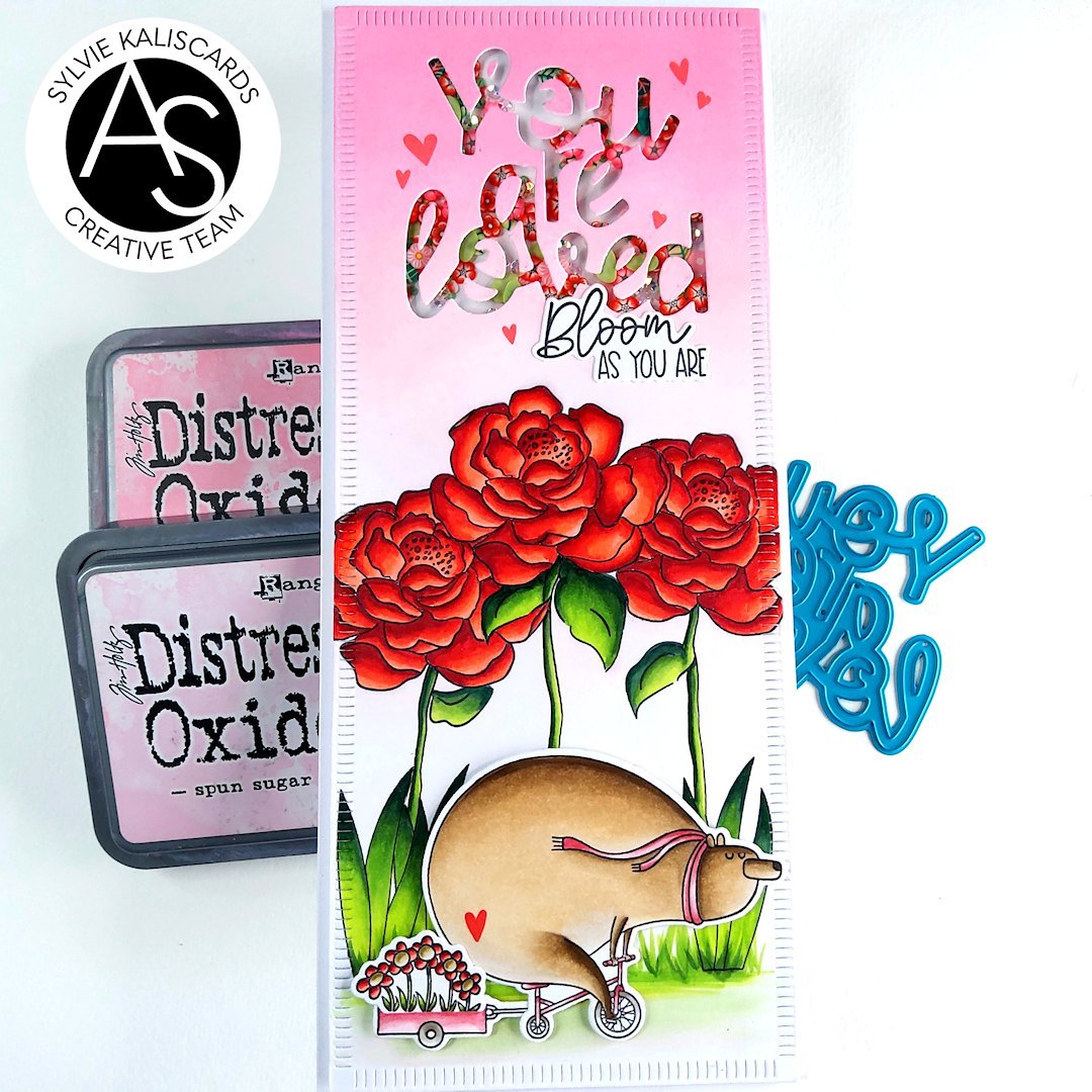 Alex Syberia Designs Collecting Memories Stamp Set - CraftSource Market: Craft Supplies & Kits Papercraft > Stamps > Photopolymer Stamps