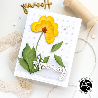 Alex Syberia Designs Congrats & Hooray Die Set - CraftSource Market: Craft Supplies & Kits Papercraft > Dies > Metal Cutting Dies