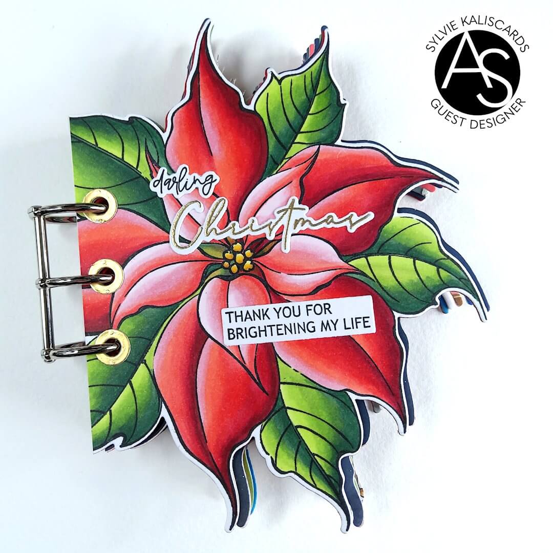 Alex Syberia Designs Festive Poinsettia Die Set - CraftSource Market: Craft Supplies & Kits Papercraft > Dies > Metal Cutting Dies