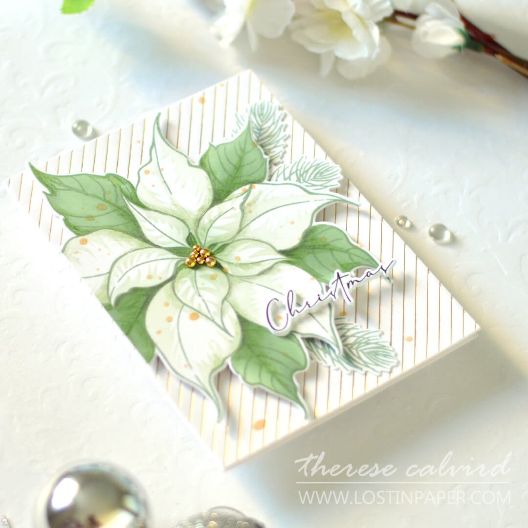Alex Syberia Designs Festive Poinsettia Die Set - CraftSource Market: Craft Supplies & Kits Papercraft > Dies > Metal Cutting Dies