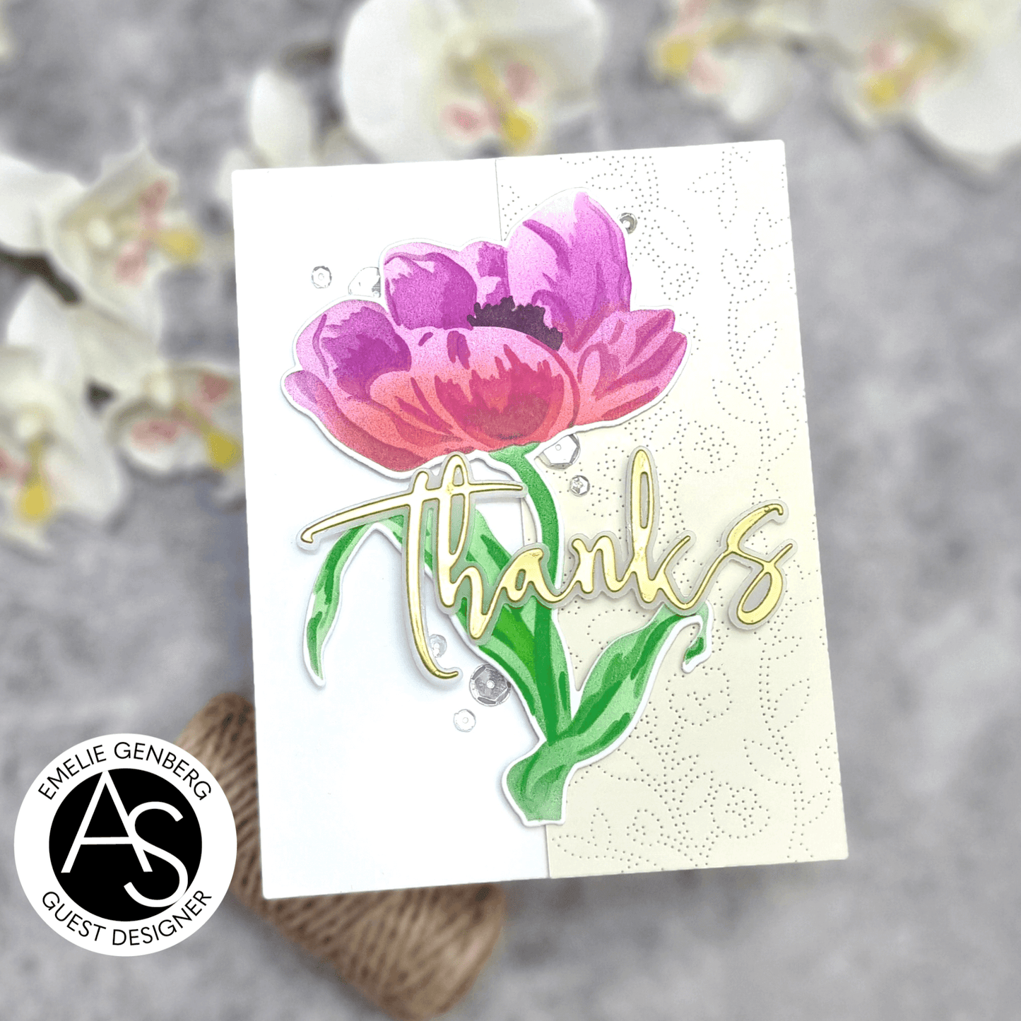 Alex Syberia Designs Meadow Magic Cover Die - CraftSource Market: Craft Supplies & Kits Papercraft > Dies > Metal Cutting Dies