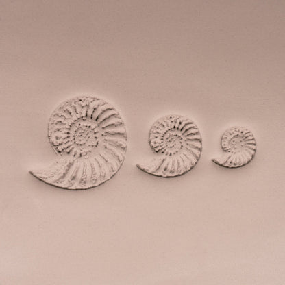 Ammonite Fossil Shell Stamp - Photo Textured - Style 1 - CraftSource Market: Craft Supplies & Kits Stamps