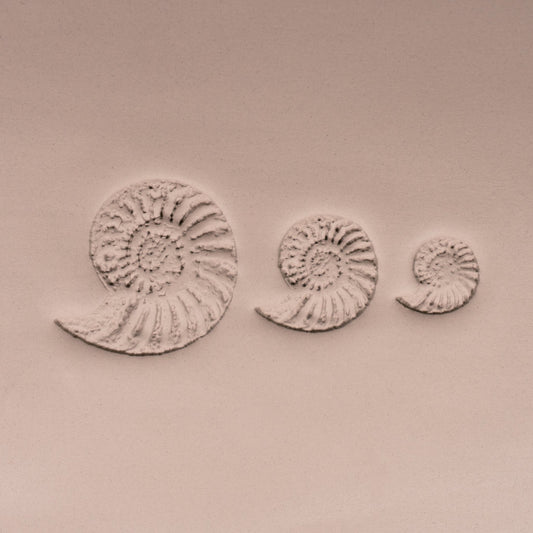 Ammonite Fossil Shell Stamp - Photo Textured - Style 1 - CraftSource Market: Craft Supplies & Kits Stamps
