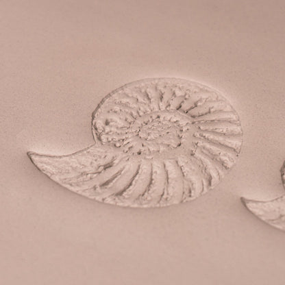 Ammonite Fossil Shell Stamp - Photo Textured - Style 1 - CraftSource Market: Craft Supplies & Kits Stamps