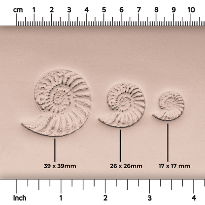 Ammonite Fossil Shell Stamp - Photo Textured - Style 1 - CraftSource Market: Craft Supplies & Kits Stamps