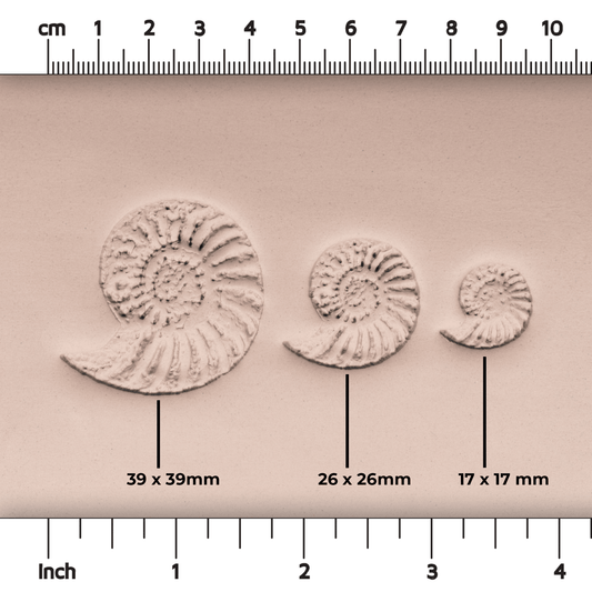 Ammonite Fossil Shell Stamp - Photo Textured - Style 1 - CraftSource Market: Craft Supplies & Kits Stamps