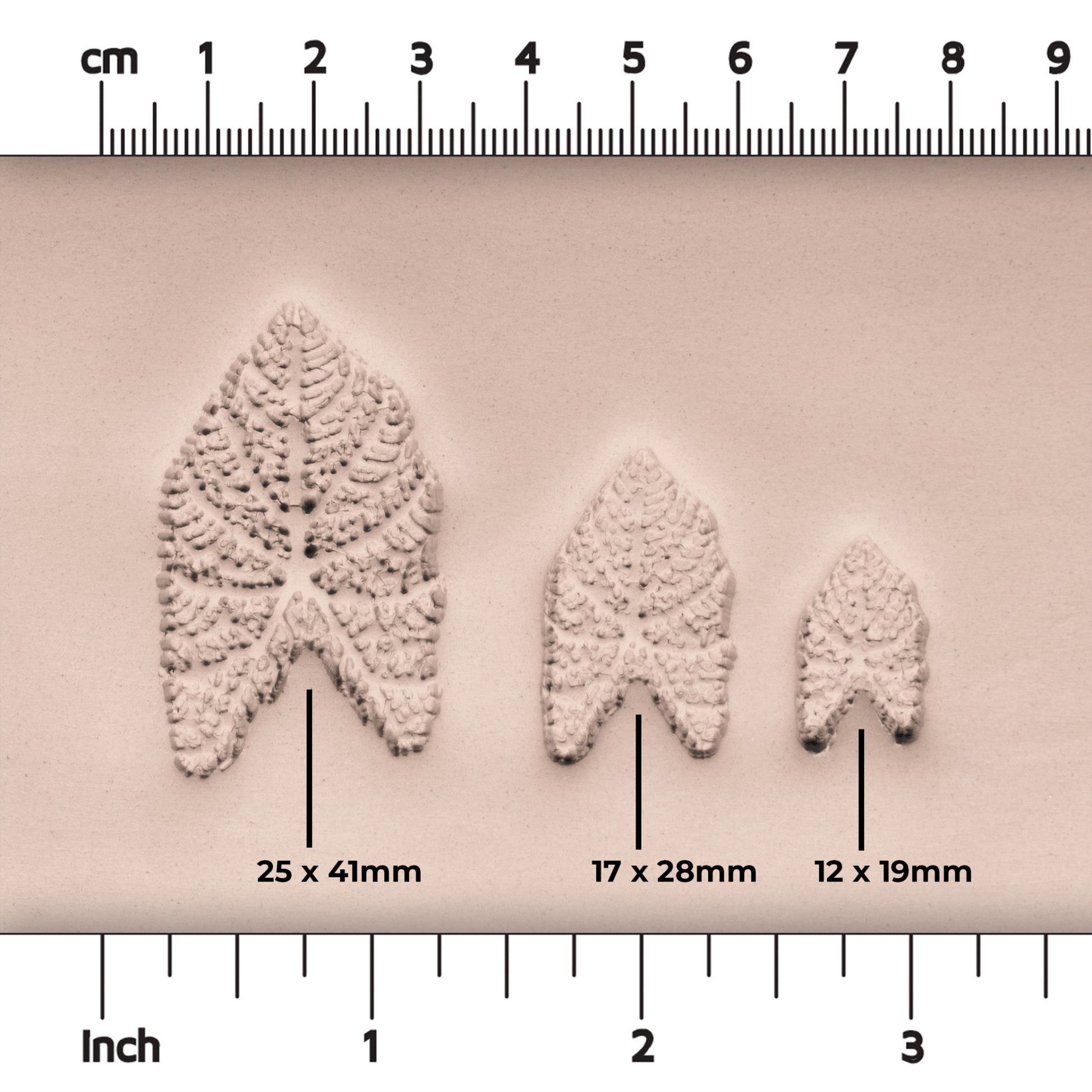 Caladium Tropical Plant Leaf Stamp - Photo Textured - Style 1 - CraftSource Market: Craft Supplies & Kits Stamps