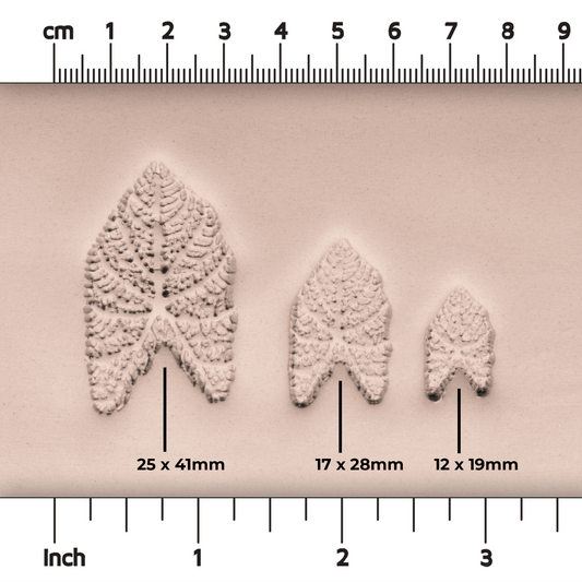 Caladium Tropical Plant Leaf Stamp - Photo Textured - Style 1 - CraftSource Market: Craft Supplies & Kits Stamps