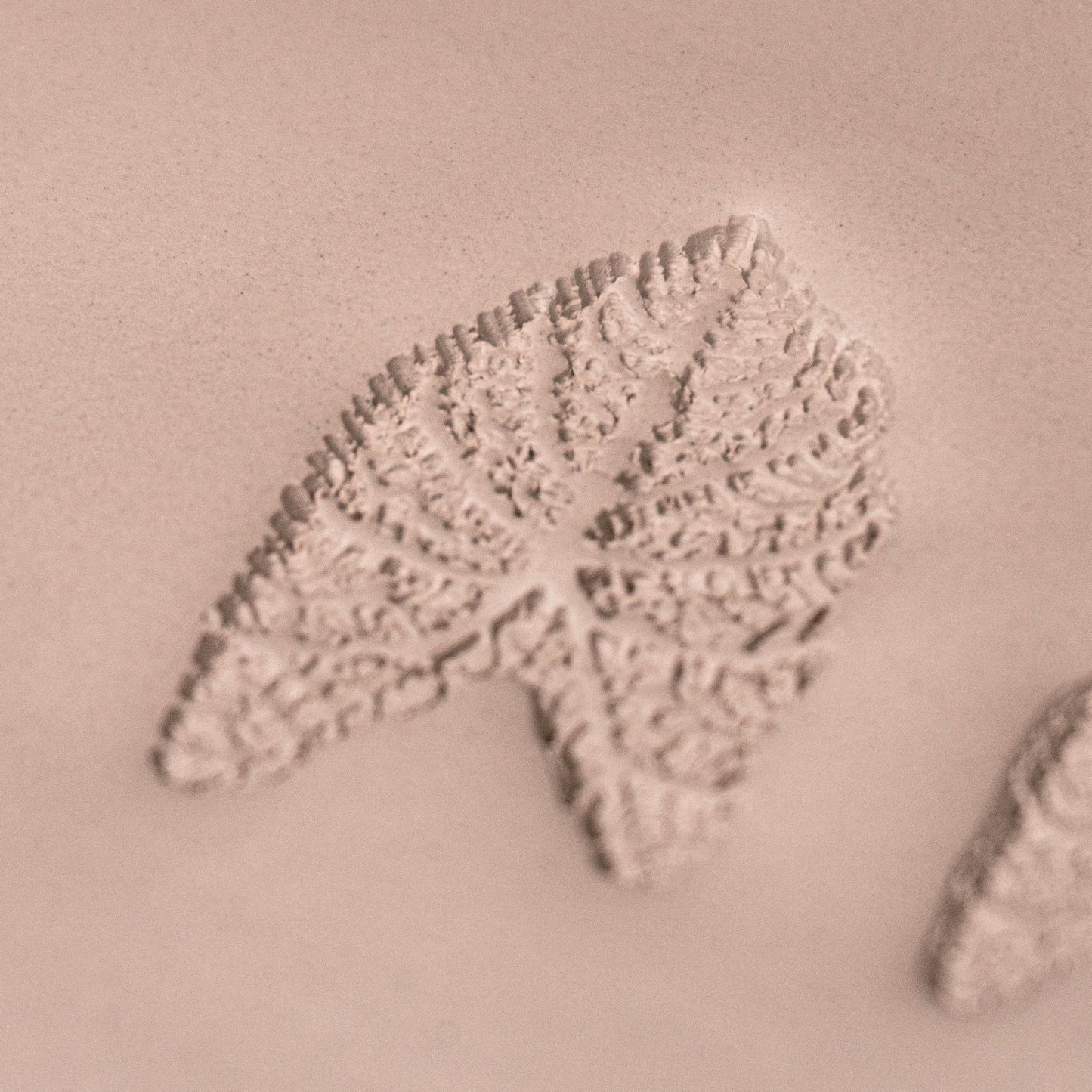 Caladium Tropical Plant Leaf Stamp - Photo Textured - Style 1 - CraftSource Market: Craft Supplies & Kits Stamps