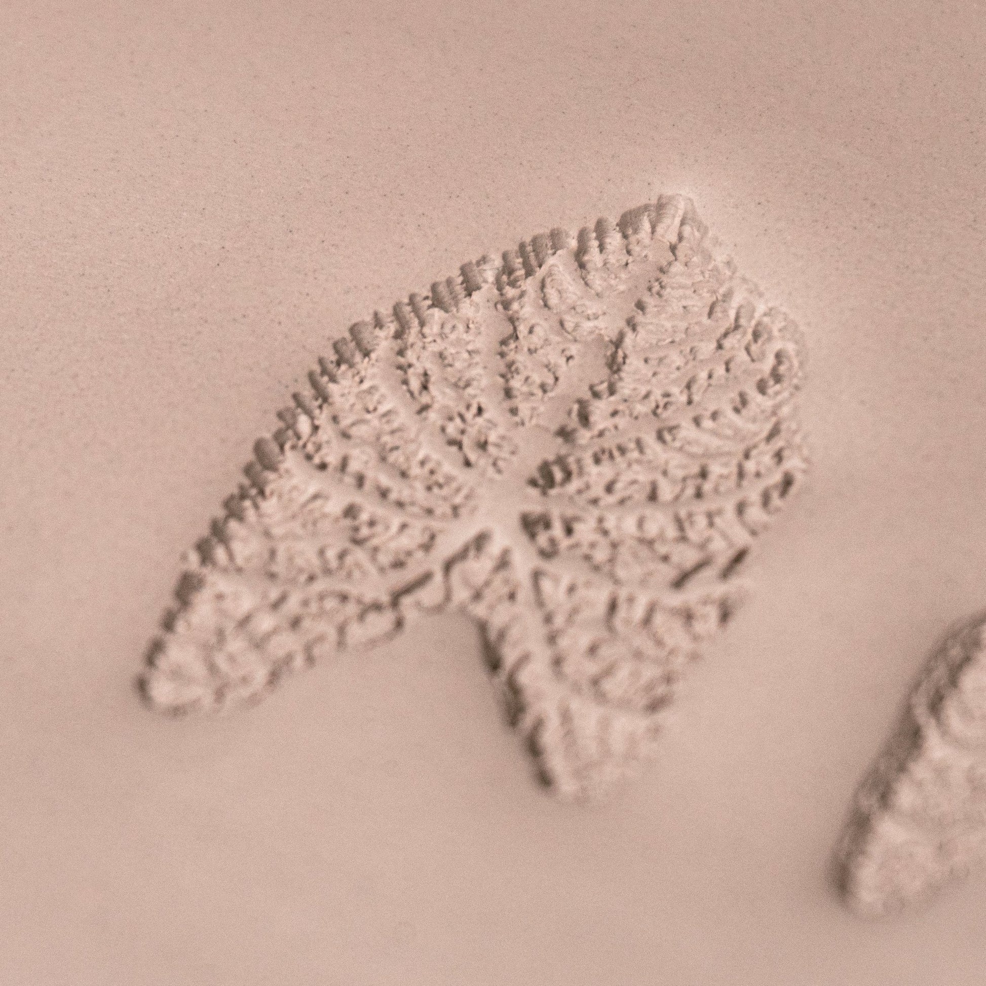 Caladium Tropical Plant Leaf Stamp - Photo Textured - Style 1 - CraftSource Market: Craft Supplies & Kits Stamps