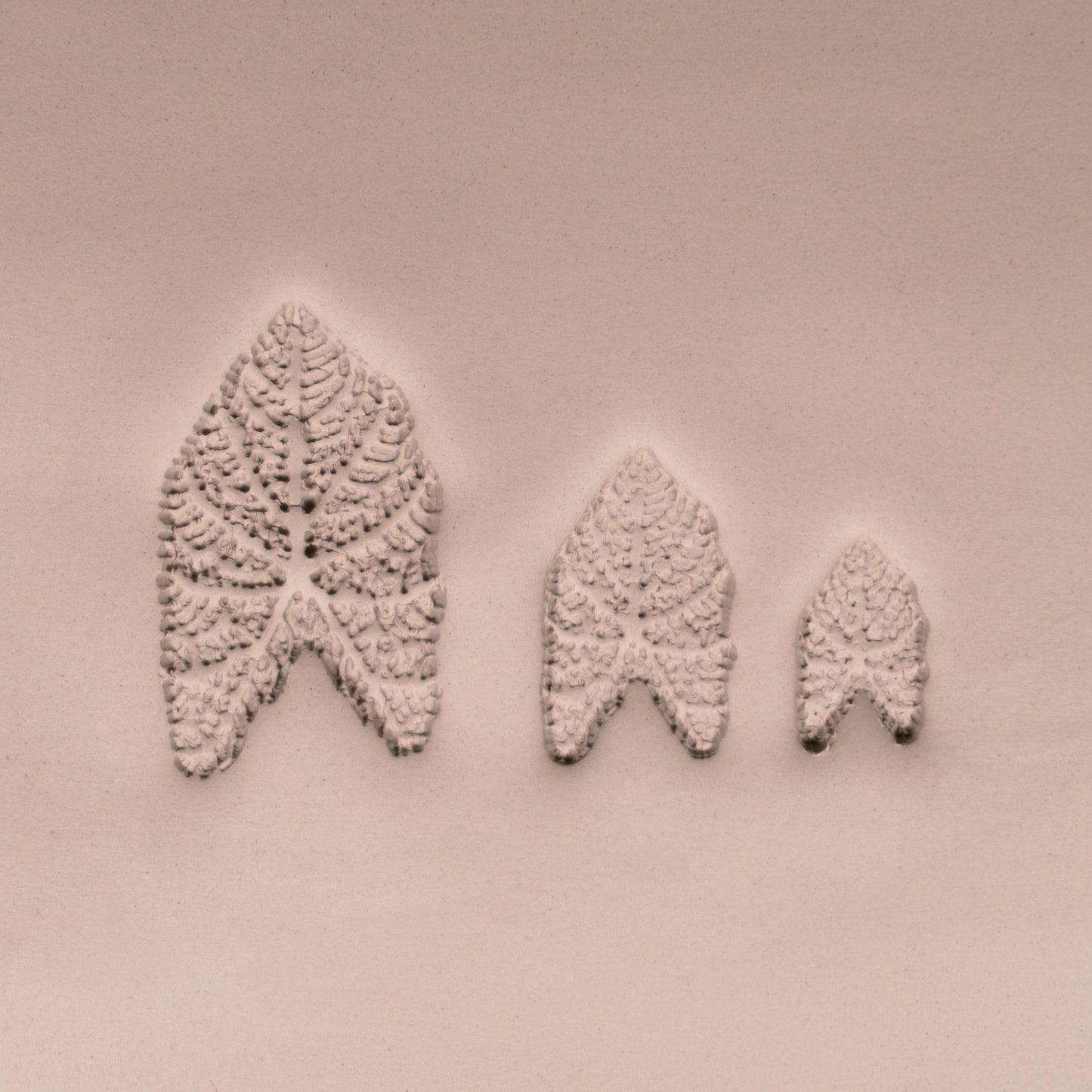Caladium Tropical Plant Leaf Stamp - Photo Textured - Style 1 - CraftSource Market: Craft Supplies & Kits Stamps