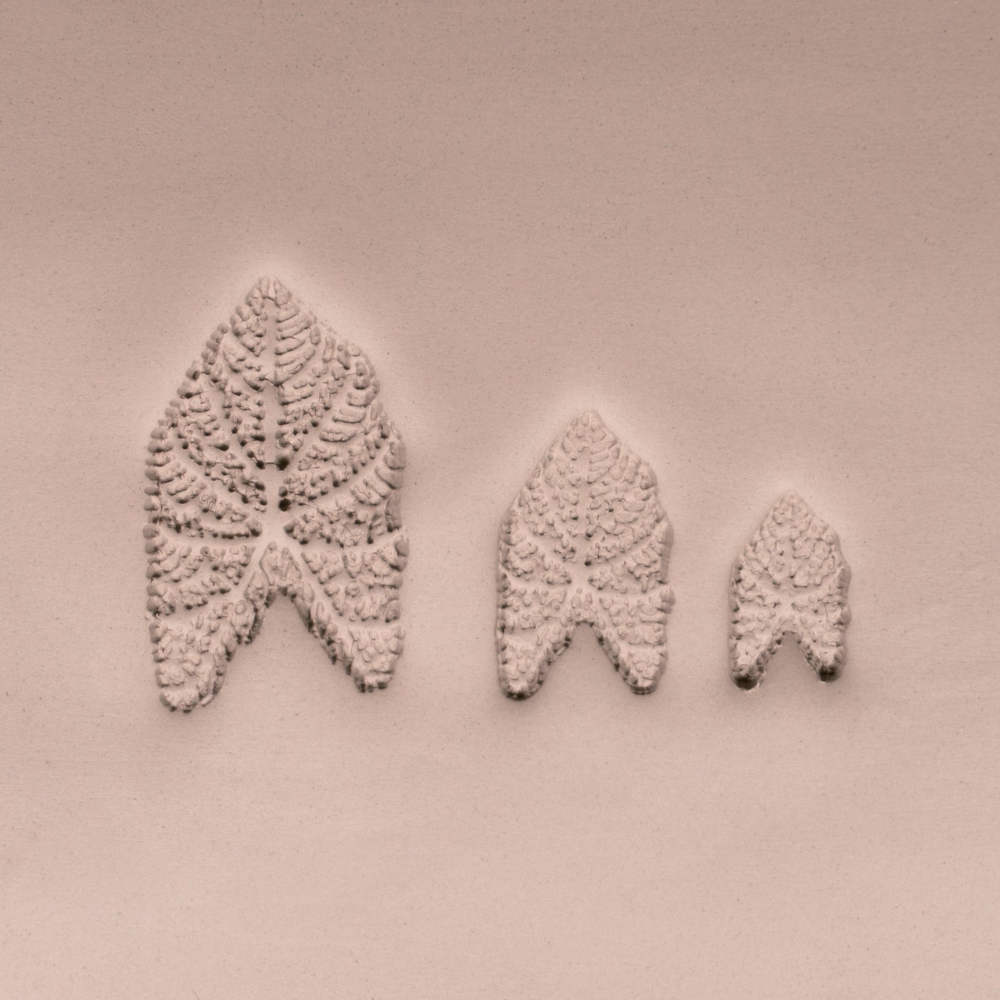 Caladium Tropical Plant Leaf Stamp - Photo Textured - Style 1 - CraftSource Market: Craft Supplies & Kits Stamps