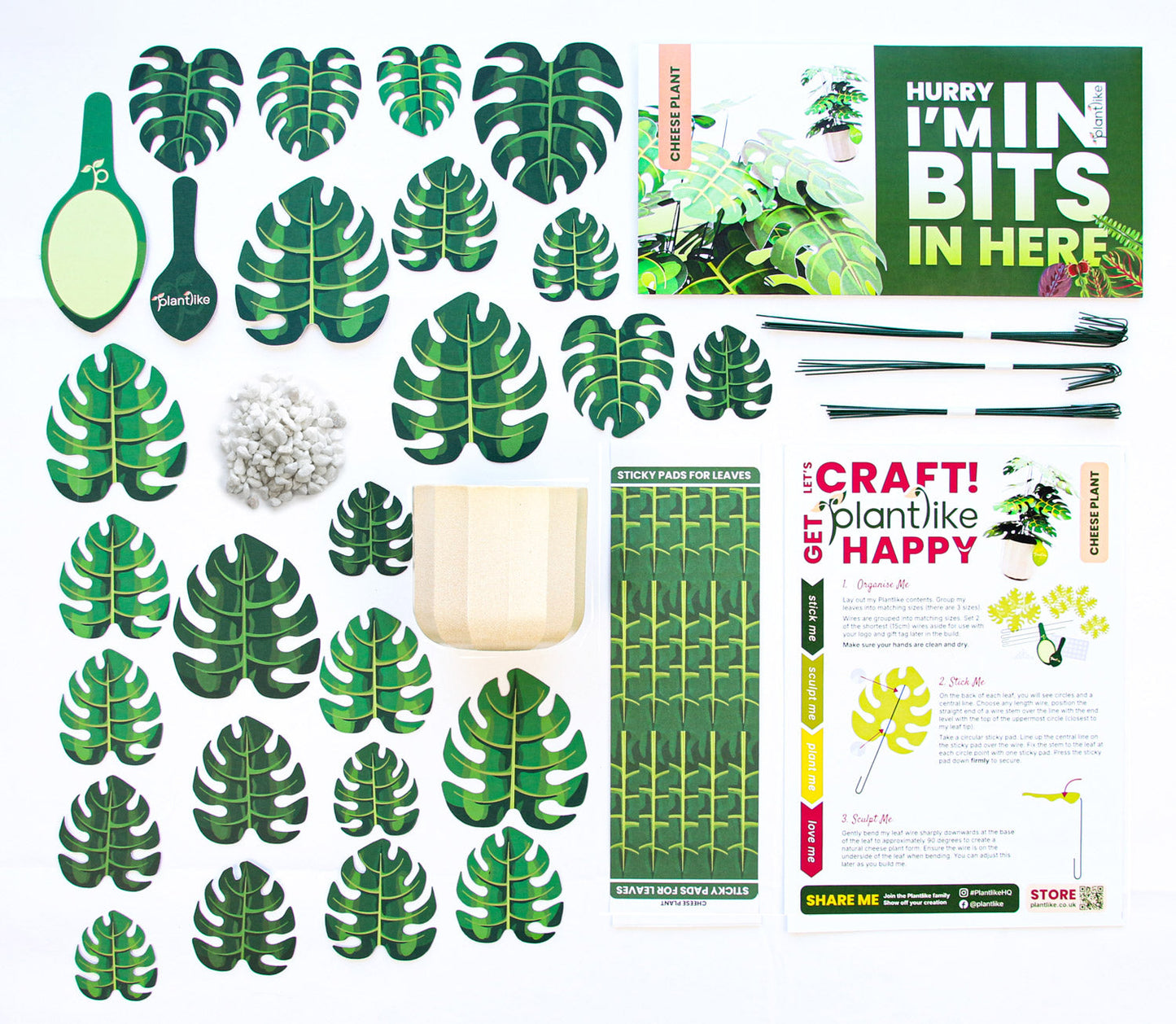 The Cheese Plant Papercraft Plant Kit