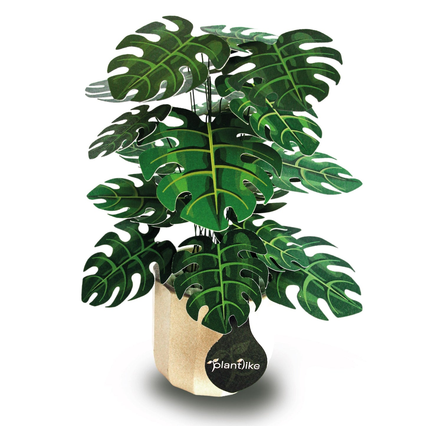 The Cheese Plant Papercraft Plant Kit