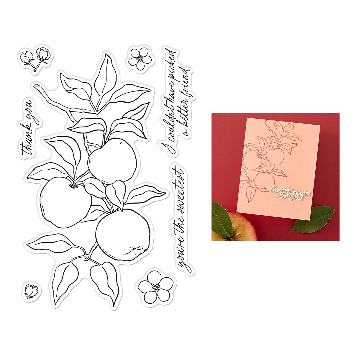 Clear stamp set with apple and leaf designs on a white background, featuring a sample card with text.