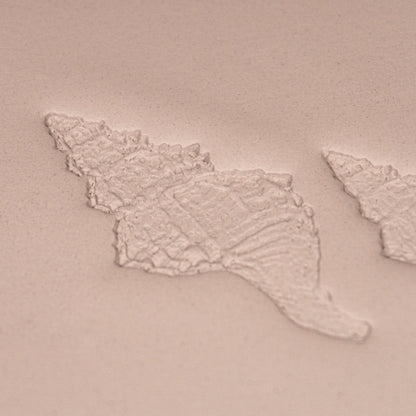 Conch Shell Stamp - Photo Textured - Style #1