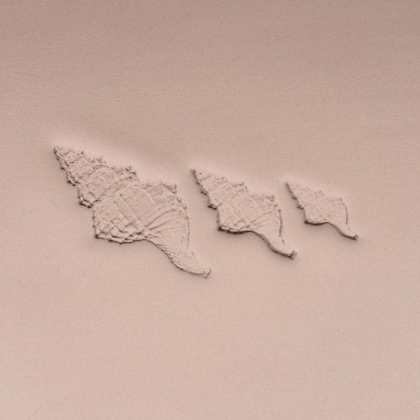 Conch Shell Stamp - Photo Textured - Style #1