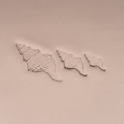 Conch Shell Stamp - Photo Textured - Style #1