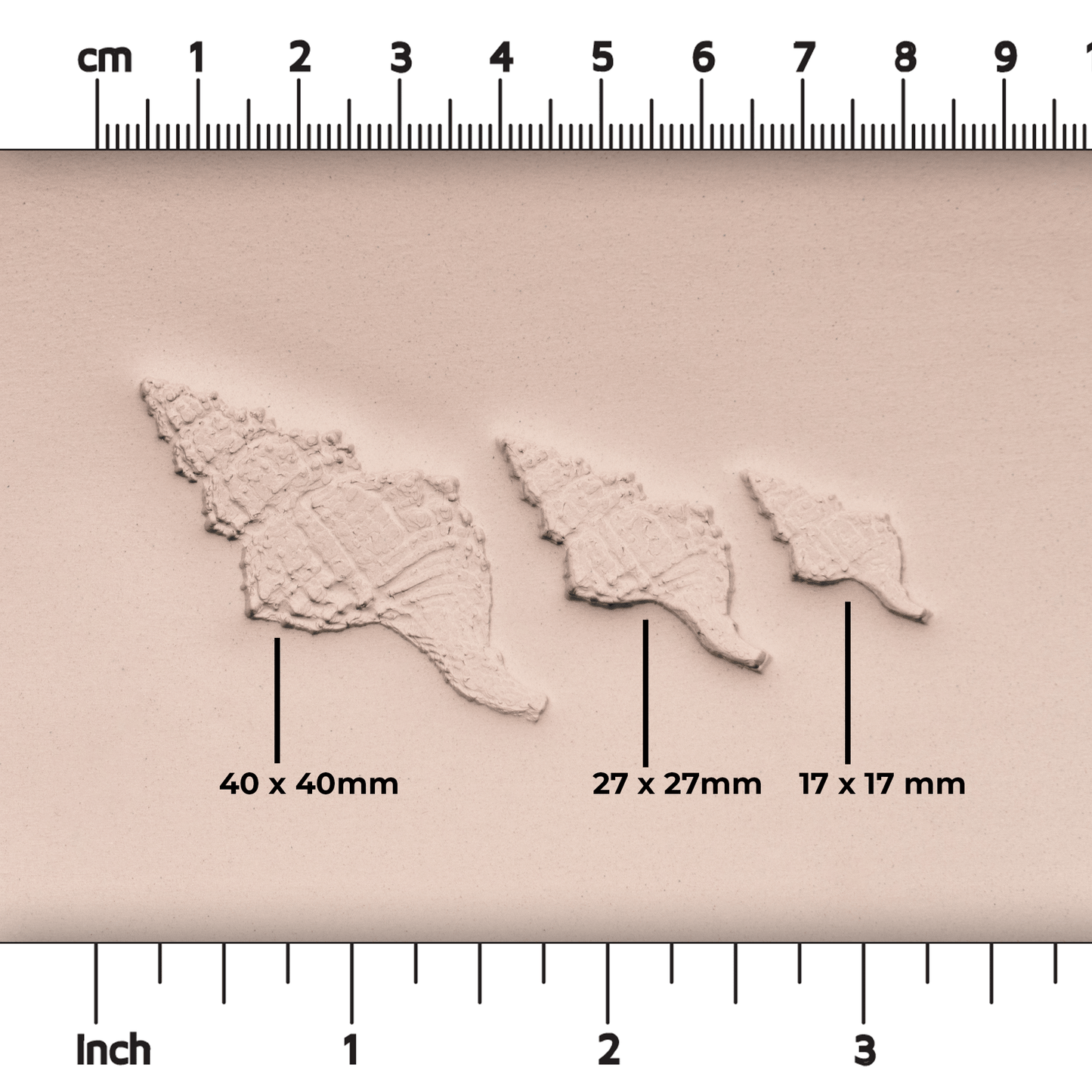 Conch Shell Stamp - Photo Textured - Style #1