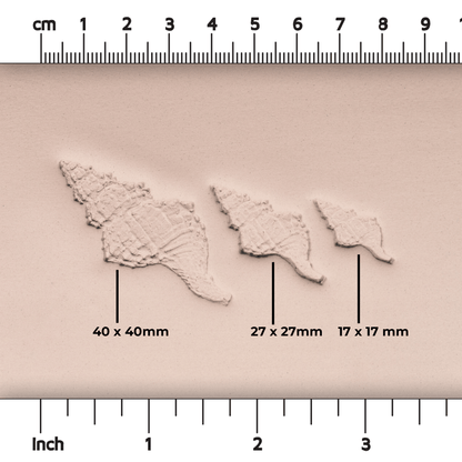 Conch Shell Stamp - Photo Textured - Style #1