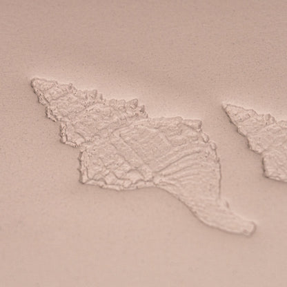 Conch Shell Stamp - Photo Textured - Style 1 - CraftSource Market: Craft Supplies & Kits Stamps