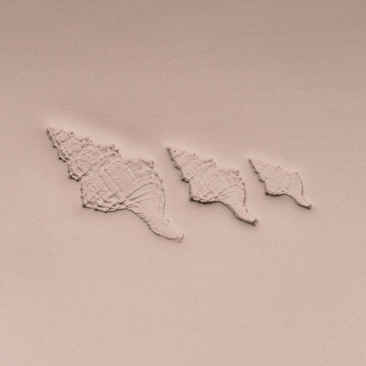 Conch Shell Stamp - Photo Textured - Style 1 - CraftSource Market: Craft Supplies & Kits Stamps