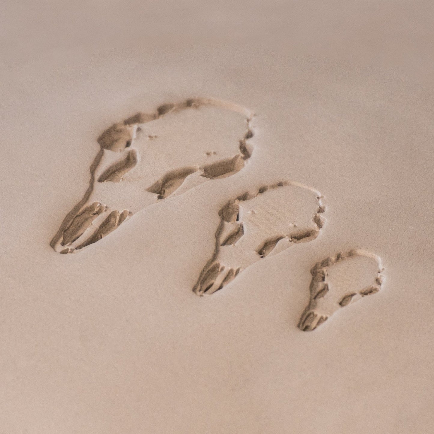 Deer Skull Stamps - CraftSource Market: Craft Supplies & Kits Stamps
