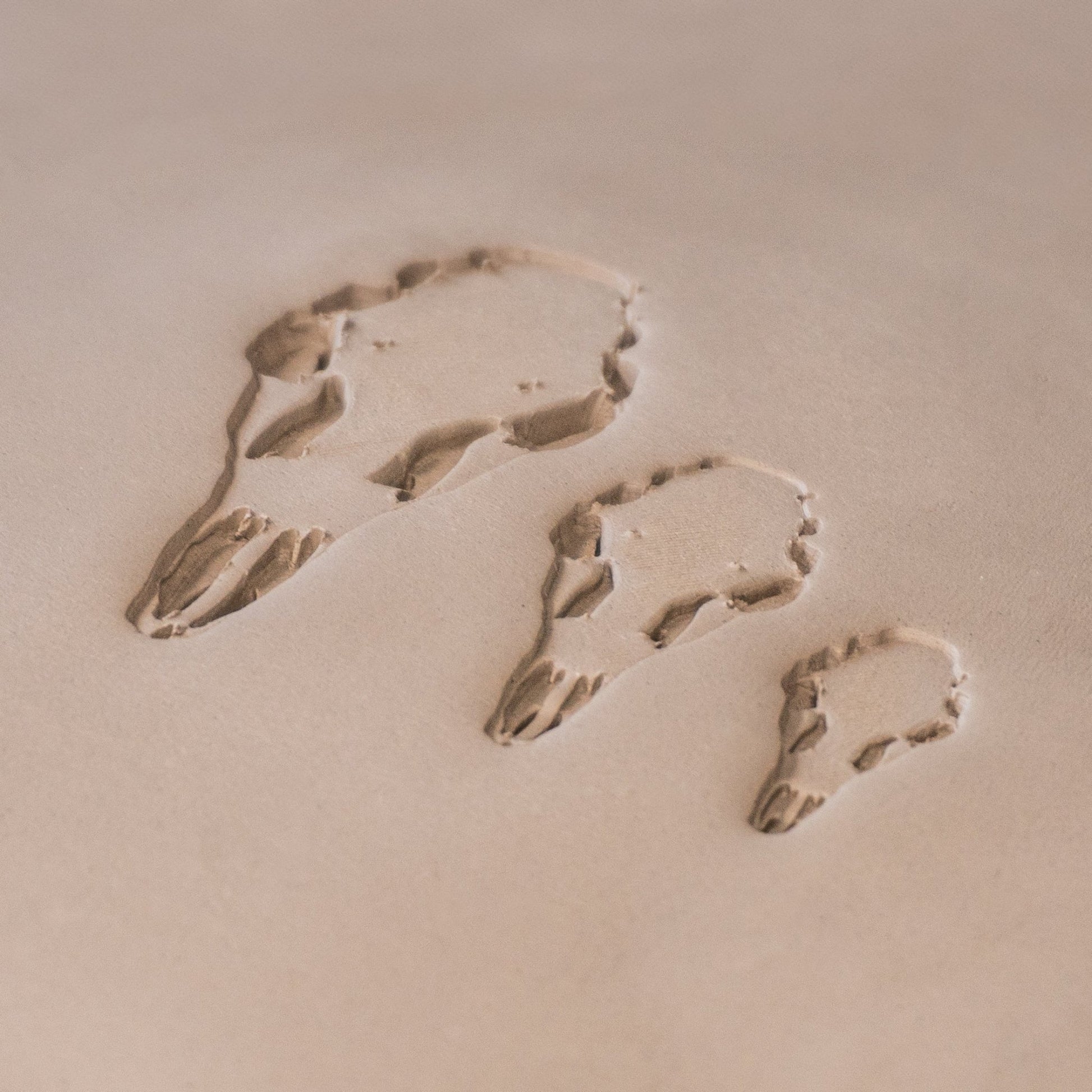 Deer Skull Stamps - CraftSource Market: Craft Supplies & Kits Stamps
