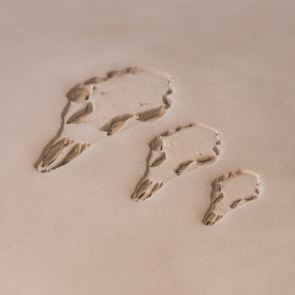 Deer Skull Stamps - CraftSource Market: Craft Supplies & Kits Stamps