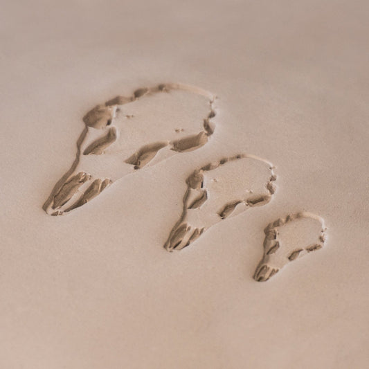 Deer Skull Stamps - CraftSource Market: Craft Supplies & Kits Stamps