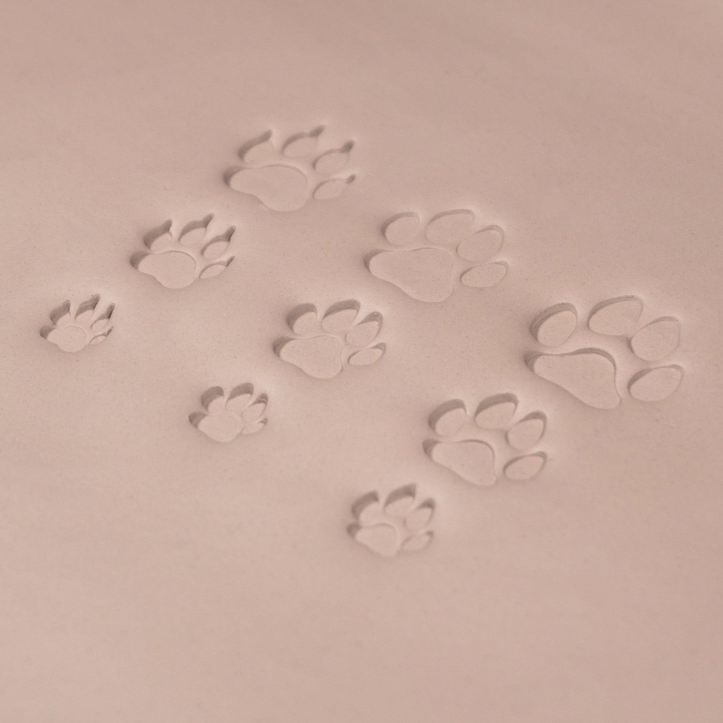 Dog Paw Stamps