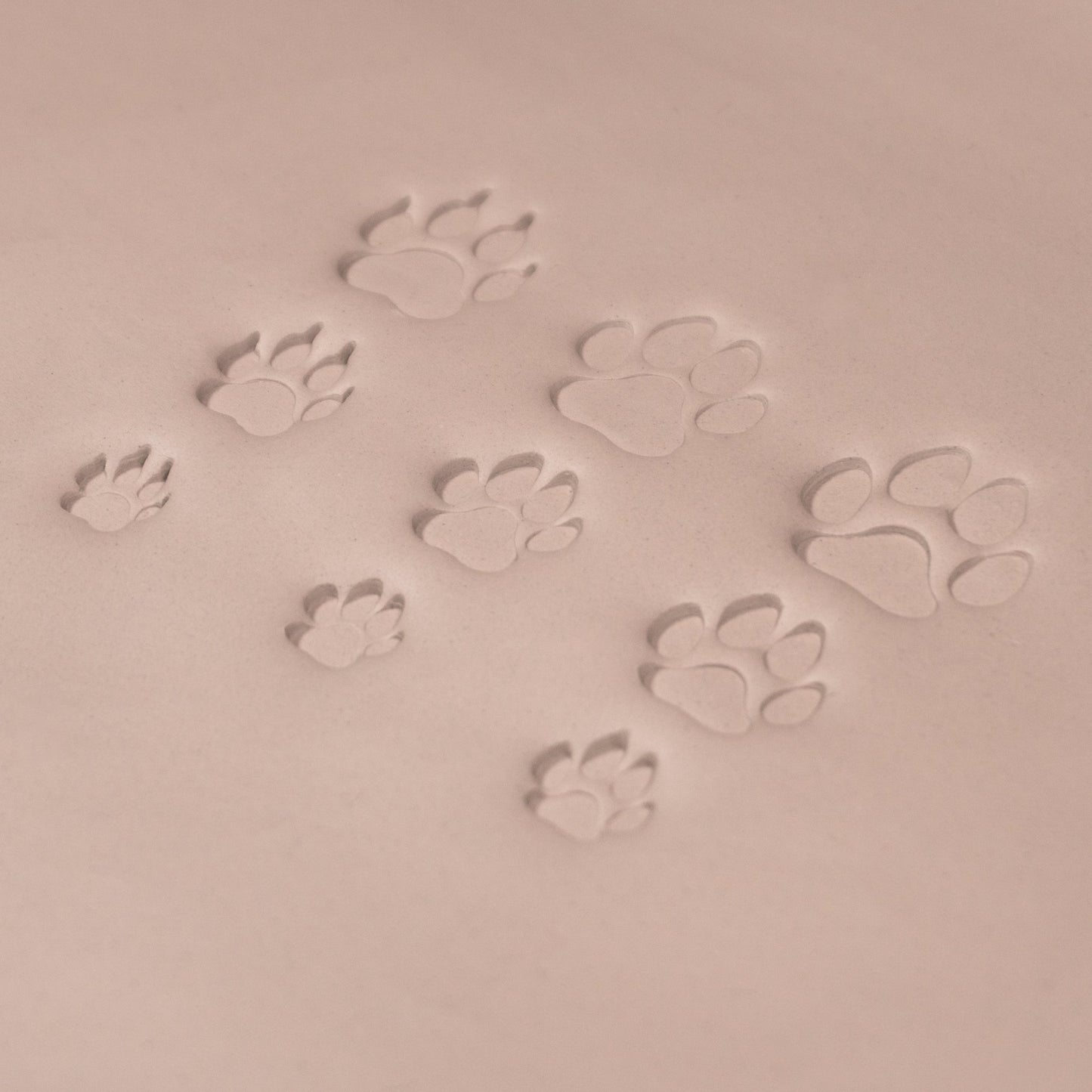 Dog Paw Stamps - CraftSource Market: Craft Supplies & Kits Stamps