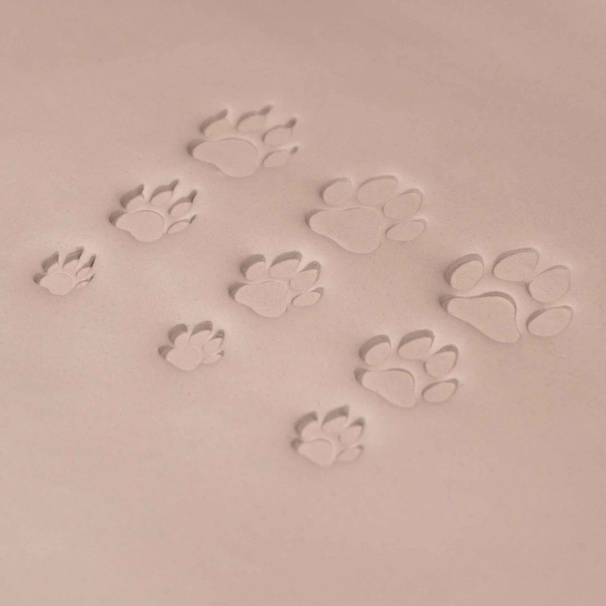 Dog Paw Stamps - CraftSource Market: Craft Supplies & Kits Stamps