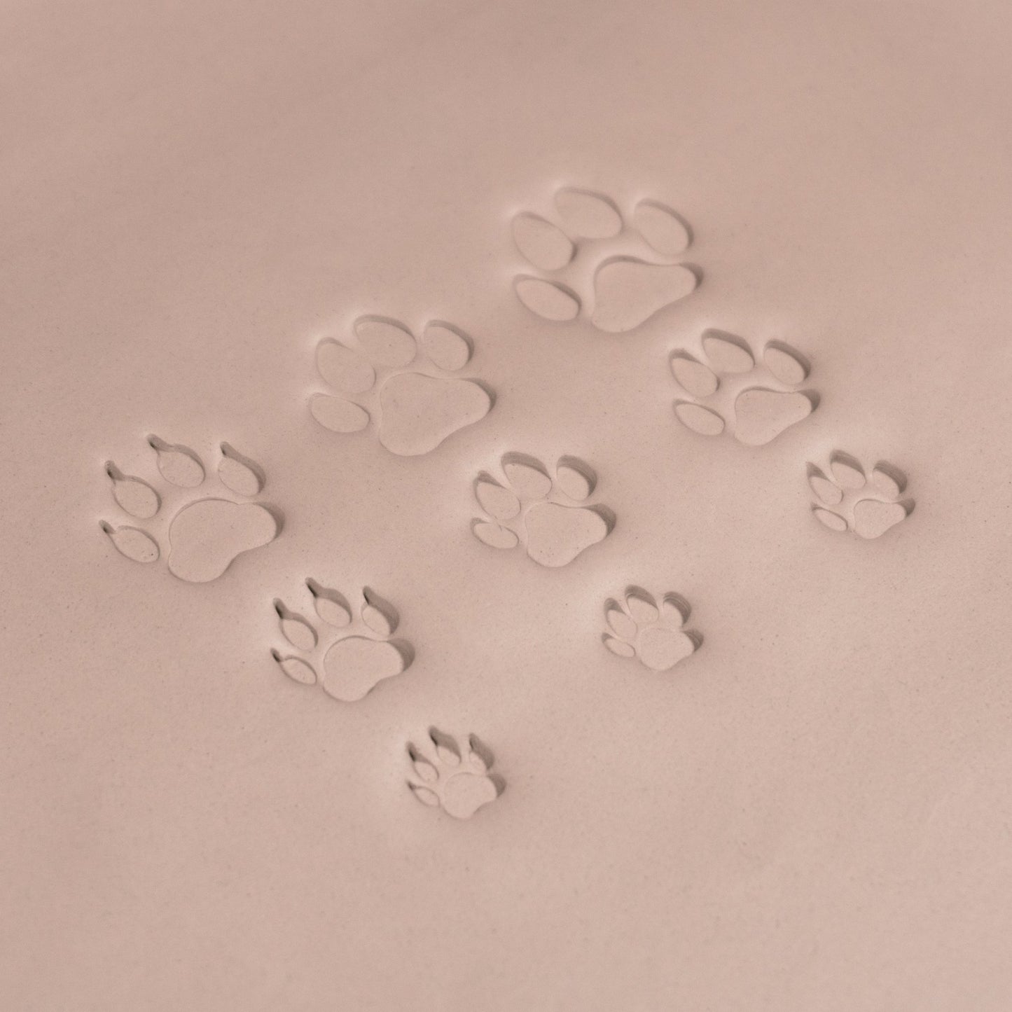 Dog Paw Stamps - CraftSource Market: Craft Supplies & Kits Stamps