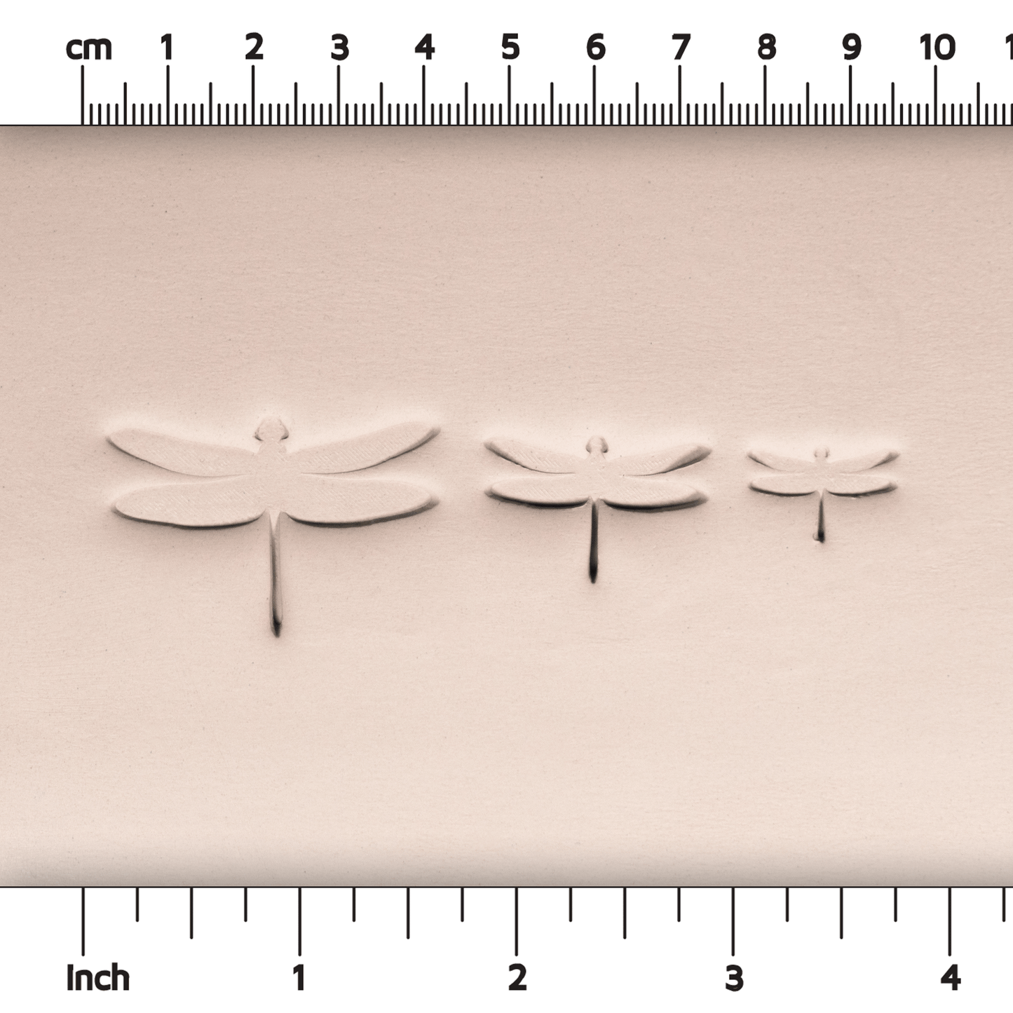 Dragonfly Stamps - Style #1