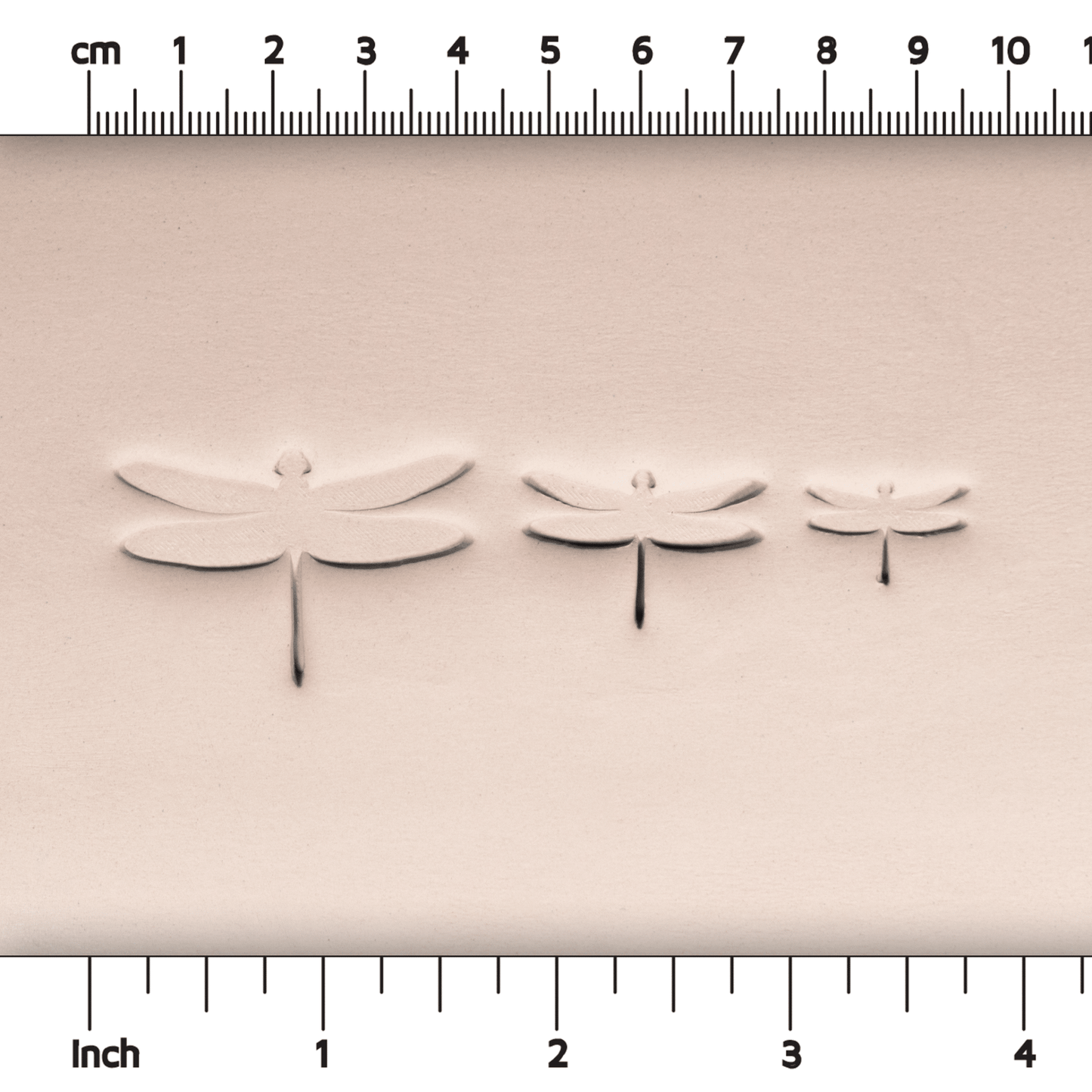 Dragonfly Stamps - Style 1 - CraftSource Market: Craft Supplies & Kits Stamps