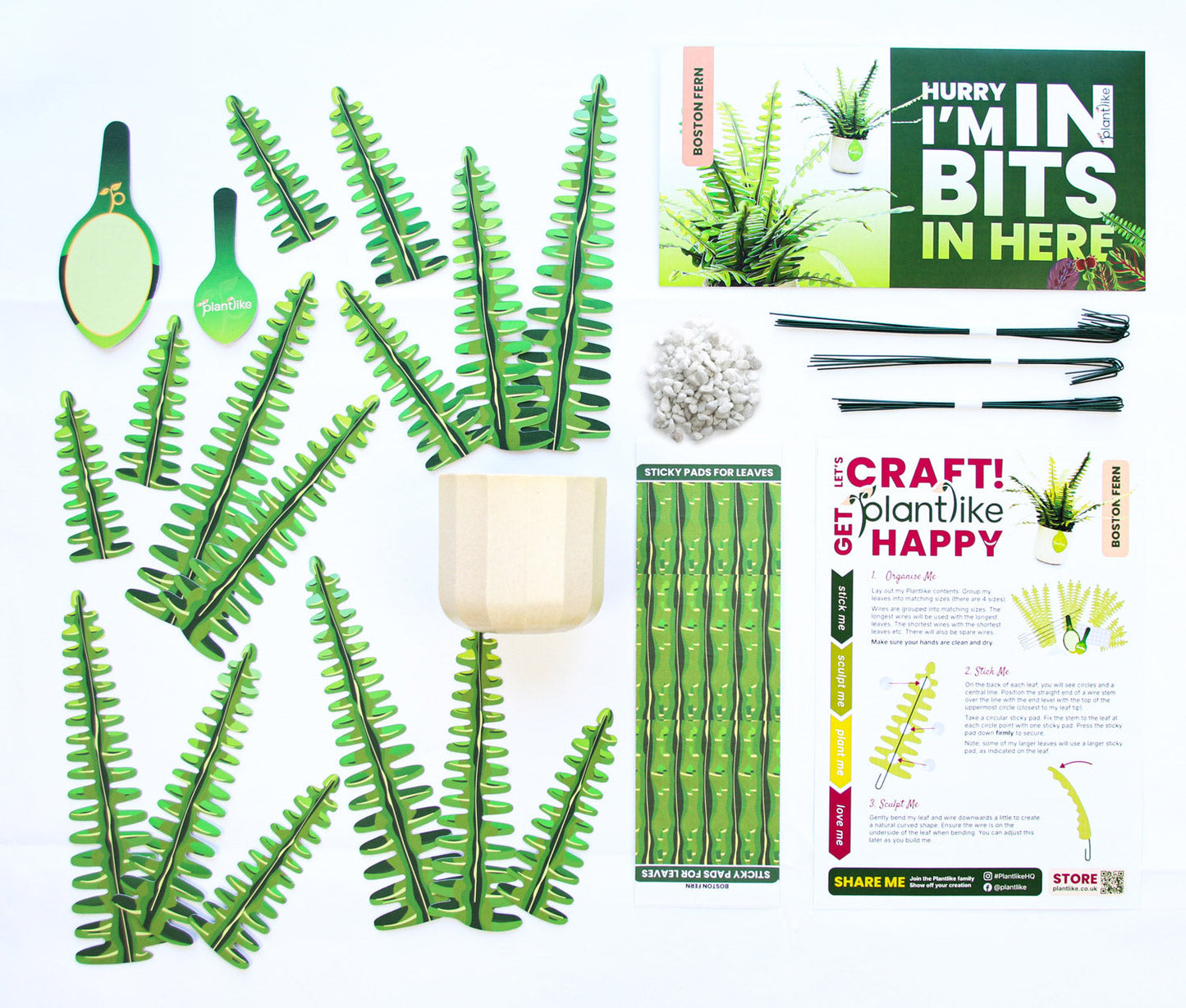 The Boston Fern Papercraft Plant Kit