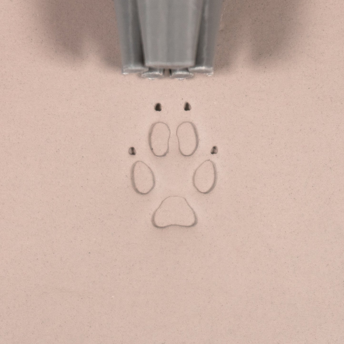 Fox Paw Stamp - Medium - Style #1