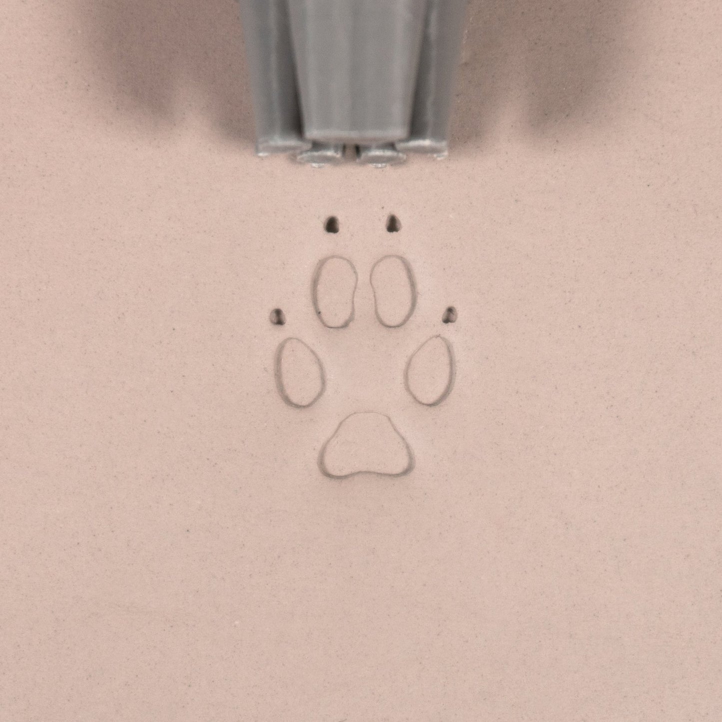 Fox Paw Stamp - Medium - Style 1 - CraftSource Market: Craft Supplies & Kits Stamps