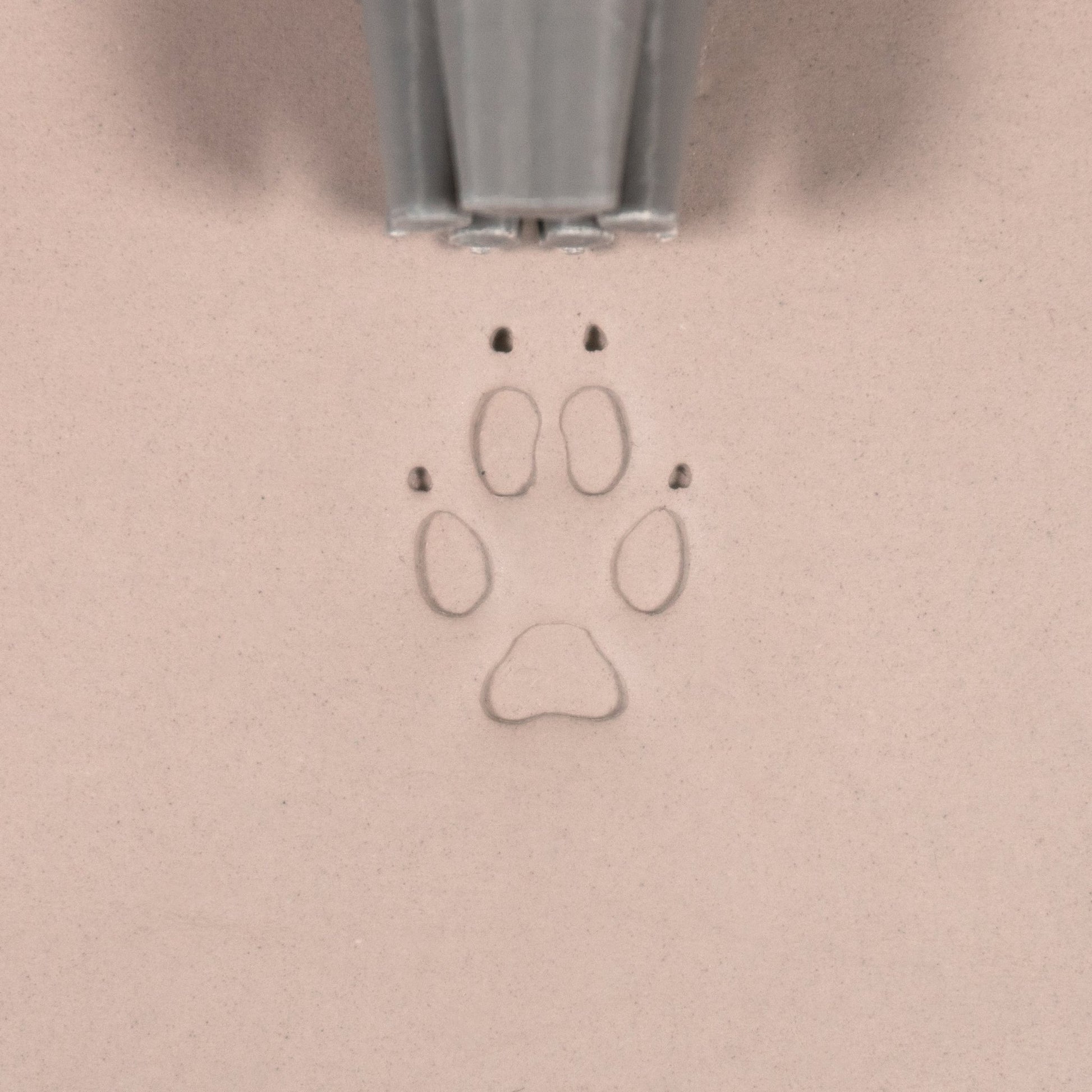 Fox Paw Stamp - Medium - Style 1 - CraftSource Market: Craft Supplies & Kits Stamps