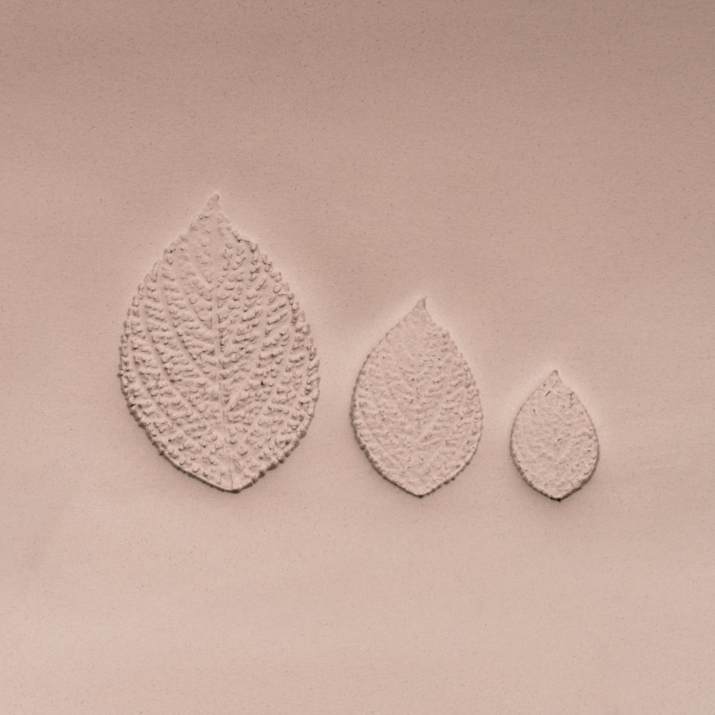 Generic Plant Leaf Stamp - Photo Textured - Style #2