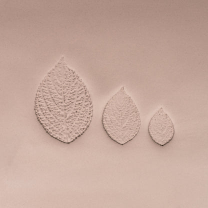 Generic Plant Leaf Stamp - Photo Textured - Style #2